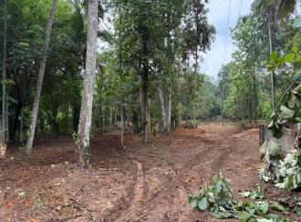 Residential Land for Sale in Trivandrum, Nedumangad, Palode
