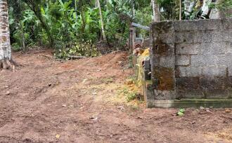 Residential Land for Sale in Trivandrum, Nedumangad, Palode
