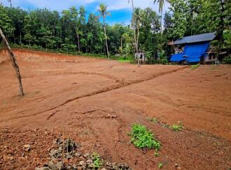 Residential Land for Sale in Kollam, Anchal, Anchal, Near Punalur-Kollam Highway