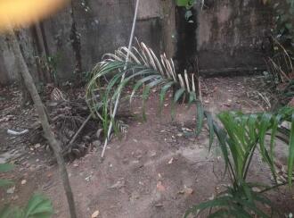 Residential Land for Sale in Ernakulam, Ernakulam town, Edapally, Old NH 17 ( Cheranellor road)