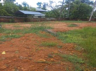 Residential Land for Sale in Alleppey, Cherthala, Ezhupunna, Ezhupunna-Kumbalangi bridge