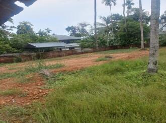 Residential Land for Sale in Alleppey, Cherthala, Ezhupunna, Ezhupunna-Kumbalangi bridge