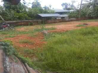 Residential Land for Sale in Alleppey, Cherthala, Ezhupunna, Ezhupunna-Kumbalangi bridge