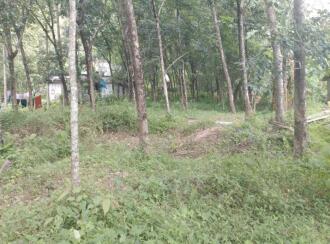Residential Land for Sale in Thrissur, Thrissur town, Thrissur, Near NH