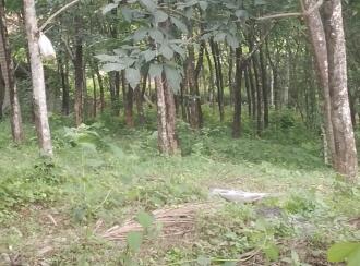 Residential Land for Sale in Thrissur, Thrissur town, Thrissur, Near NH