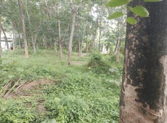 Residential Land for Sale in Thrissur, Thrissur town, Thrissur, Near NH