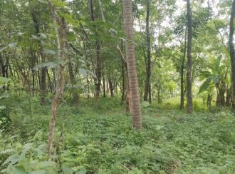 Residential Land for Sale in Thrissur, Thrissur town, Thrissur, Near NH