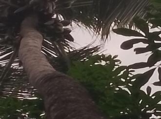 Residential Land for Sale in Thrissur, Thrissur town, Thrissur, Near NH