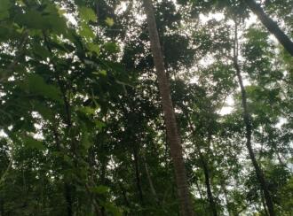 Residential Land for Sale in Thrissur, Thrissur town, Thrissur, Near NH