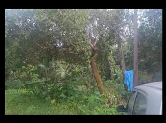 Residential Land for Sale in Ernakulam, Aluva, Kizhakkumbhagom, PARAPPURAM, NEAR THIRUNARAYANAPURAM TEMPLE PARAPPURAM VALLAM KADAV ROAD