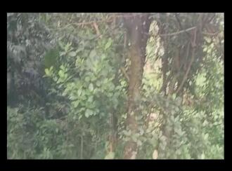 Residential Land for Sale in Ernakulam, Aluva, Kizhakkumbhagom, PARAPPURAM, NEAR THIRUNARAYANAPURAM TEMPLE PARAPPURAM VALLAM KADAV ROAD