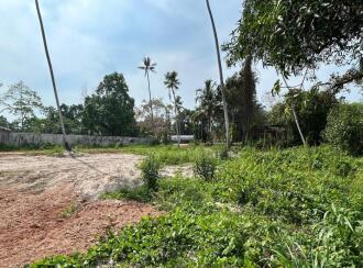 Residential Land for Sale in Alleppey, Mararikulam, Mararikulam
