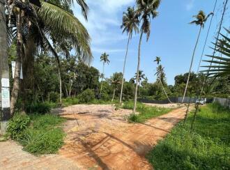 Residential Land for Sale in Alleppey, Mararikulam, Mararikulam
