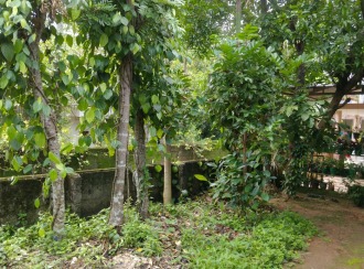 Commercial Land for Sale in Thrissur, Pudukad, Pudukad, sub station near