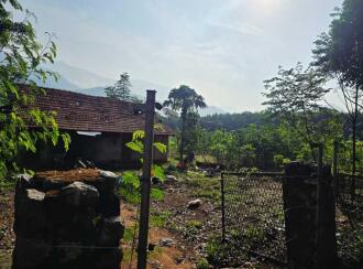 Agricultural Land for SalePalakkad, Palakkad, Olavakkode