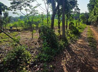 Agricultural Land for Sale in Palakkad, Palakkad, Olavakkode, Lead College of Mangement