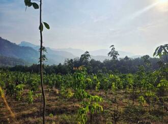 Agricultural Land for Sale in Palakkad, Palakkad, Olavakkode, Lead College of Mangement