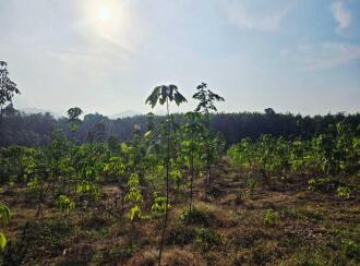 Agricultural Land for Sale in Palakkad, Palakkad, Olavakkode, Lead College of Mangement
