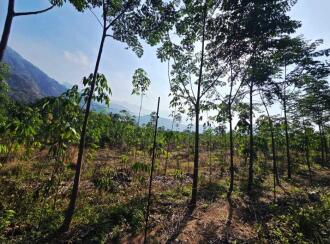 Agricultural Land for Sale in Palakkad, Palakkad, Olavakkode, Lead College of Mangement