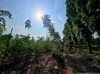 Agricultural Land for Sale in Palakkad, Palakkad, Olavakkode, Lead College of Mangement
