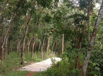 Residential Land for Sale in Kottayam, Karukachal, Champakkara, Asramampadi