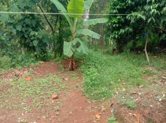 Residential Land for Sale in Kottayam, Karukachal, Champakkara, Asramampadi