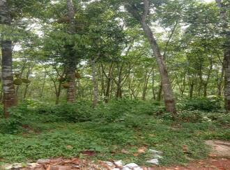 Residential Land for Sale in Kottayam, Karukachal, Champakkara, Asramampadi