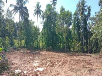 Residential Land for Sale in Kottayam, Vaikom, Brahmamangalam, Enadi