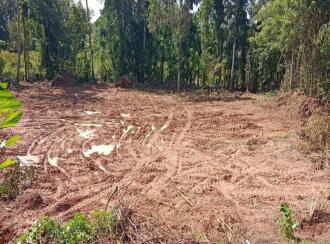 Residential Land for Sale in Kottayam, Vaikom, Brahmamangalam, Enadi