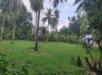 Residential Land for Sale in Kollam, Kollam, Uliyakovil, Chenankara Junction