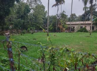 Residential Land for Sale in Kollam, Kollam, Uliyakovil, Chenankara Junction