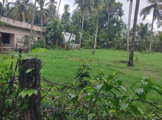 Residential Land for Sale in Kollam, Kollam, Uliyakovil, Chenankara Junction