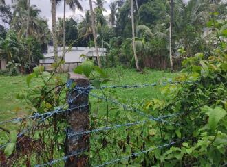 Residential Land for Sale in Kollam, Kollam, Uliyakovil, Chenankara Junction