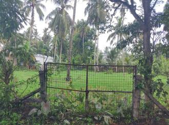 Residential Land for Sale in Kollam, Kollam, Uliyakovil, Chenankara Junction