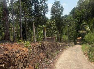 Residential Land for Sale in Kottayam, Karukachal, Karukachal, Karukachal ward no 1