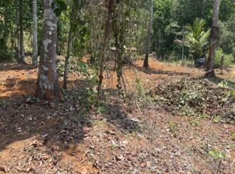 Residential Land for Sale in Kottayam, Karukachal, Karukachal, Karukachal ward no 1