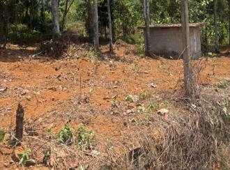 Residential Land for Sale in Kottayam, Karukachal, Karukachal, Karukachal ward no 1