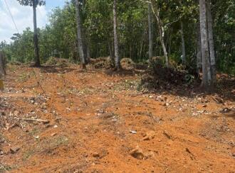 Residential Land for Sale in Kottayam, Karukachal, Karukachal, Karukachal ward no 1