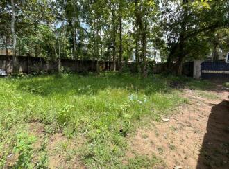 Residential Land for Sale in Alleppey, Mannar, Kurattikadu