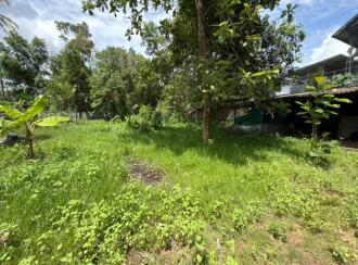 Residential Land for Sale in Alleppey, Mannar, Kurattikadu