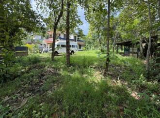 Residential Land for Sale in Alleppey, Mannar, Kurattikadu