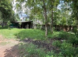 Residential Land for Sale in Alleppey, Mannar, Kurattikadu