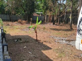 Residential Land for Sale in Alleppey, Mannar, Kurattikadu