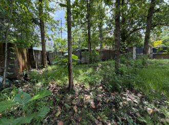 Residential Land for Sale in Alleppey, Mannar, Kurattikadu