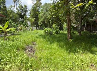 Residential Land for Sale in Alleppey, Mannar, Kurattikadu