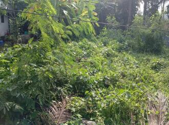Residential Land for Sale in Kollam, Kollam, Kollam town, Chavara (Shankaramagalam)