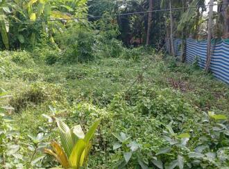 Residential Land for Sale in Kollam, Kollam, Kollam town, Chavara (Shankaramagalam)
