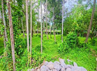 Commercial Land for Sale in Alleppey, Kayamkulam, Kattanam, Thazhava Mukku Junction