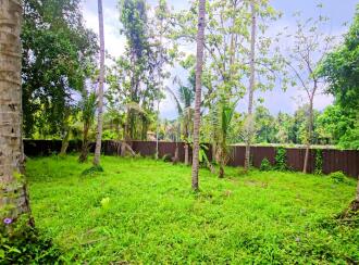 Commercial Land for Sale in Alleppey, Kayamkulam, Kattanam, Thazhava Mukku Junction