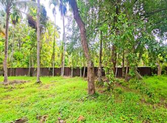 Commercial Land for Sale in Alleppey, Kayamkulam, Kattanam, Thazhava Mukku Junction